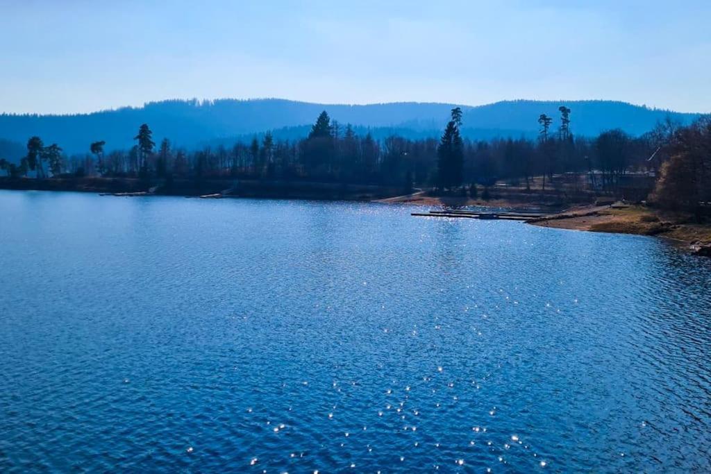 Fewo Sperlingskauz Mit Pool, Sauna & Hochschwarzwaldcard سشلوشسي المظهر الخارجي الصورة