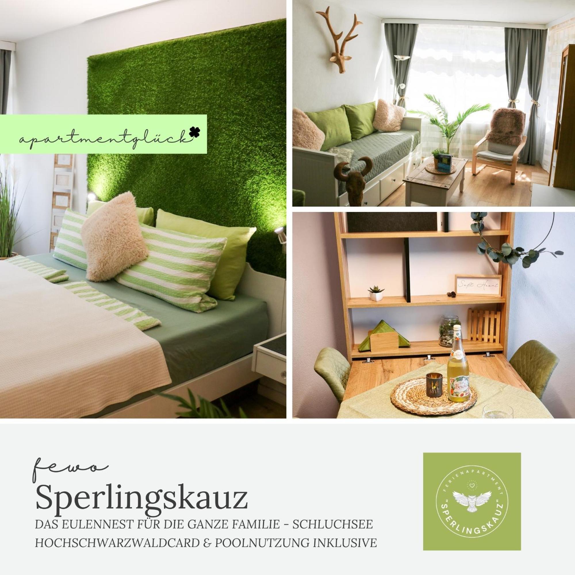 Fewo Sperlingskauz Mit Pool, Sauna & Hochschwarzwaldcard سشلوشسي المظهر الخارجي الصورة